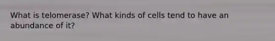 What is telomerase? What kinds of cells tend to have an abundance of it?