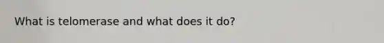 What is telomerase and what does it do?