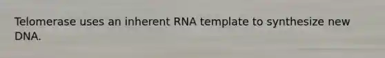 Telomerase uses an inherent RNA template to synthesize new DNA.