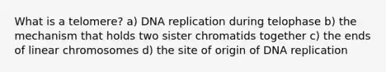 What is a telomere? a) DNA replication during telophase b) the mechanism that holds two sister chromatids together c) the ends of linear chromosomes d) the site of origin of DNA replication