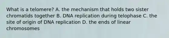 What is a telomere? A. the mechanism that holds two sister chromatids together B. <a href='https://www.questionai.com/knowledge/kofV2VQU2J-dna-replication' class='anchor-knowledge'>dna replication</a> during telophase C. the site of origin of DNA replication D. the ends of linear chromosomes