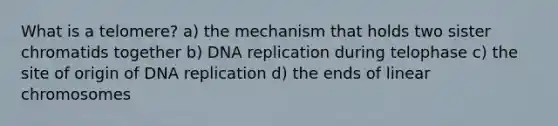 What is a telomere? a) the mechanism that holds two sister chromatids together b) <a href='https://www.questionai.com/knowledge/kofV2VQU2J-dna-replication' class='anchor-knowledge'>dna replication</a> during telophase c) the site of origin of DNA replication d) the ends of linear chromosomes