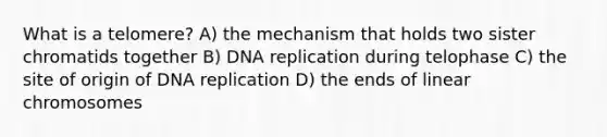 What is a telomere? A) the mechanism that holds two sister chromatids together B) <a href='https://www.questionai.com/knowledge/kofV2VQU2J-dna-replication' class='anchor-knowledge'>dna replication</a> during telophase C) the site of origin of DNA replication D) the ends of linear chromosomes