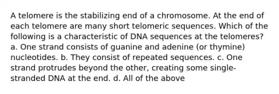 A telomere is the stabilizing end of a chromosome. At the end of each telomere are many short telomeric sequences. Which of the following is a characteristic of DNA sequences at the telomeres? a. One strand consists of guanine and adenine (or thymine) nucleotides. b. They consist of repeated sequences. c. One strand protrudes beyond the other, creating some single-stranded DNA at the end. d. All of the above