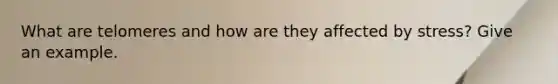 What are telomeres and how are they affected by stress? Give an example.