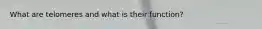 What are telomeres and what is their function?