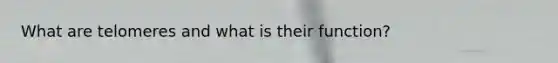 What are telomeres and what is their function?