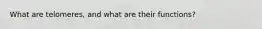 What are telomeres, and what are their functions?