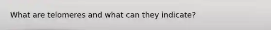What are telomeres and what can they indicate?