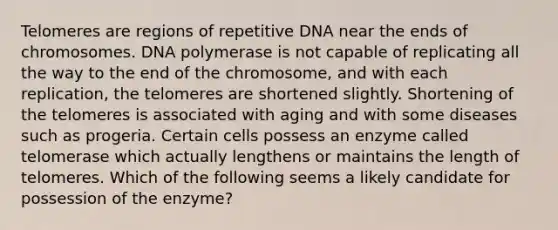 Telomeres are regions of repetitive DNA near the ends of chromosomes. DNA polymerase is not capable of replicating all the way to the end of the chromosome, and with each replication, the telomeres are shortened slightly. Shortening of the telomeres is associated with aging and with some diseases such as progeria. Certain cells possess an enzyme called telomerase which actually lengthens or maintains the length of telomeres. Which of the following seems a likely candidate for possession of the enzyme?