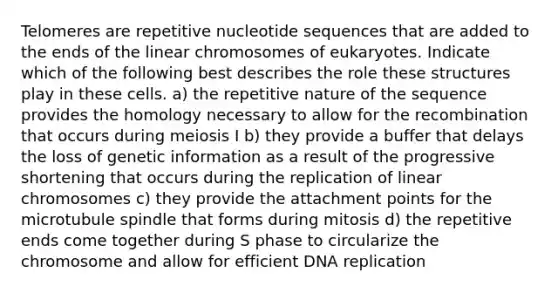 Telomeres are repetitive nucleotide sequences that are added to the ends of the linear chromosomes of eukaryotes. Indicate which of the following best describes the role these structures play in these cells. a) the repetitive nature of the sequence provides the homology necessary to allow for the recombination that occurs during meiosis I b) they provide a buffer that delays the loss of genetic information as a result of the progressive shortening that occurs during the replication of linear chromosomes c) they provide the attachment points for the microtubule spindle that forms during mitosis d) the repetitive ends come together during S phase to circularize the chromosome and allow for efficient DNA replication