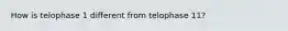 How is telophase 1 different from telophase 11?