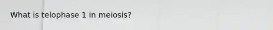 What is telophase 1 in meiosis?