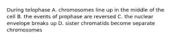 During telophase A. chromosomes line up in the middle of the cell B. the events of prophase are reversed C. the nuclear envelope breaks up D. sister chromatids become separate chromosomes