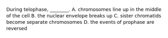 During telophase, ________. A. chromosomes line up in the middle of the cell B. the nuclear envelope breaks up C. sister chromatids become separate chromosomes D. the events of prophase are reversed