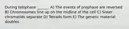 During telophase ______. A) The events of prophase are reversed B) Chromosomes line up on the midline of the cell C) Sister chromatids separate D) Tetrads form E) The genetic material doubles