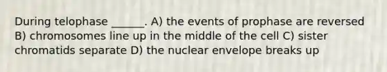 During telophase ______. A) the events of prophase are reversed B) chromosomes line up in the middle of the cell C) sister chromatids separate D) the nuclear envelope breaks up