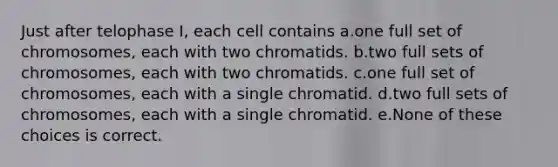 Just after telophase I, each cell contains a.one full set of chromosomes, each with two chromatids. b.two full sets of chromosomes, each with two chromatids. c.one full set of chromosomes, each with a single chromatid. d.two full sets of chromosomes, each with a single chromatid. e.None of these choices is correct.