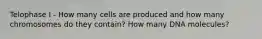 Telophase I - How many cells are produced and how many chromosomes do they contain? How many DNA molecules?