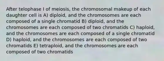 After telophase I of meiosis, the chromosomal makeup of each daughter cell is A) diploid, and the chromosomes are each composed of a single chromatid B) diploid, and the chromosomes are each composed of two chromatids C) haploid, and the chromosomes are each composed of a single chromatid D) haploid, and the chromosomes are each composed of two chromatids E) tetraploid, and the chromosomes are each composed of two chromatids