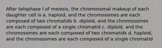 After telophase I of meiosis, the chromosomal makeup of each daughter cell is a. haploid, and the chromosomes are each composed of two chromatids b. diploid, and the chromosomes are each composed of a single chromatid c. diploid, and the chromosomes are each composed of two chromatids d. haploid, and the chromosomes are each composed of a single chromatid