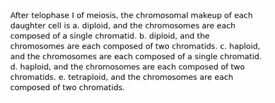 After telophase I of meiosis, the chromosomal makeup of each daughter cell is a. diploid, and the chromosomes are each composed of a single chromatid. b. diploid, and the chromosomes are each composed of two chromatids. c. haploid, and the chromosomes are each composed of a single chromatid. d. haploid, and the chromosomes are each composed of two chromatids. e. tetraploid, and the chromosomes are each composed of two chromatids.