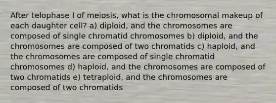 After telophase I of meiosis, what is the chromosomal makeup of each daughter cell? a) diploid, and the chromosomes are composed of single chromatid chromosomes b) diploid, and the chromosomes are composed of two chromatids c) haploid, and the chromosomes are composed of single chromatid chromosomes d) haploid, and the chromosomes are composed of two chromatids e) tetraploid, and the chromosomes are composed of two chromatids