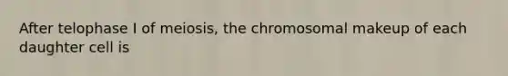 After telophase I of meiosis, the chromosomal makeup of each daughter cell is