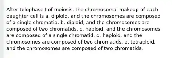 After telophase I of meiosis, the chromosomal makeup of each daughter cell is a. diploid, and the chromosomes are composed of a single chromatid. b. diploid, and the chromosomes are composed of two chromatids. c. haploid, and the chromosomes are composed of a single chromatid. d. haploid, and the chromosomes are composed of two chromatids. e. tetraploid, and the chromosomes are composed of two chromatids.