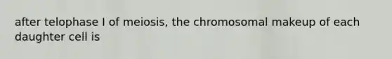 after telophase I of meiosis, the chromosomal makeup of each daughter cell is