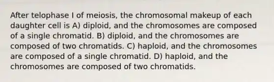 After telophase I of meiosis, the chromosomal makeup of each daughter cell is A) diploid, and the chromosomes are composed of a single chromatid. B) diploid, and the chromosomes are composed of two chromatids. C) haploid, and the chromosomes are composed of a single chromatid. D) haploid, and the chromosomes are composed of two chromatids.