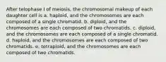 After telophase I of meiosis, the chromosomal makeup of each daughter cell is a. haploid, and the chromosomes are each composed of a single chromatid. b. diploid, and the chromosomes are each composed of two chromatids. c. diploid, and the chromosomes are each composed of a single chromatid. d. haploid, and the chromosomes are each composed of two chromatids. e. tetraploid, and the chromosomes are each composed of two chromatids.