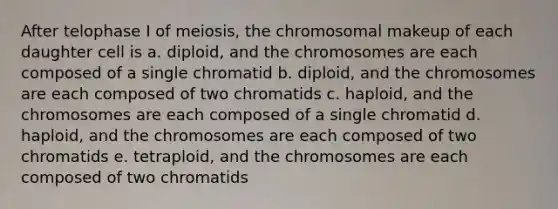 After telophase I of meiosis, the chromosomal makeup of each daughter cell is a. diploid, and the chromosomes are each composed of a single chromatid b. diploid, and the chromosomes are each composed of two chromatids c. haploid, and the chromosomes are each composed of a single chromatid d. haploid, and the chromosomes are each composed of two chromatids e. tetraploid, and the chromosomes are each composed of two chromatids