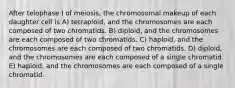 After telophase I of meiosis, the chromosomal makeup of each daughter cell is A) tetraploid, and the chromosomes are each composed of two chromatids. B) diploid, and the chromosomes are each composed of two chromatids. C) haploid, and the chromosomes are each composed of two chromatids. D) diploid, and the chromosomes are each composed of a single chromatid. E) haploid, and the chromosomes are each composed of a single chromatid.