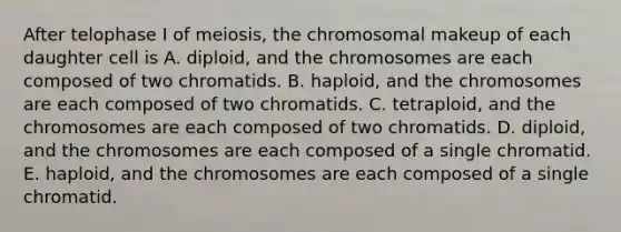 After telophase I of meiosis, the chromosomal makeup of each daughter cell is A. diploid, and the chromosomes are each composed of two chromatids. B. haploid, and the chromosomes are each composed of two chromatids. C. tetraploid, and the chromosomes are each composed of two chromatids. D. diploid, and the chromosomes are each composed of a single chromatid. E. haploid, and the chromosomes are each composed of a single chromatid.