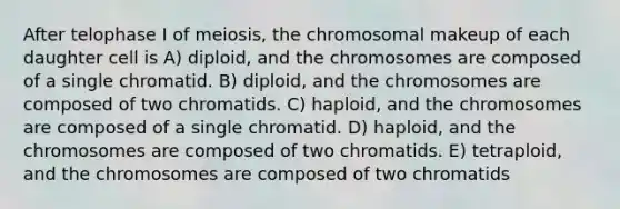 After telophase I of meiosis, the chromosomal makeup of each daughter cell is A) diploid, and the chromosomes are composed of a single chromatid. B) diploid, and the chromosomes are composed of two chromatids. C) haploid, and the chromosomes are composed of a single chromatid. D) haploid, and the chromosomes are composed of two chromatids. E) tetraploid, and the chromosomes are composed of two chromatids