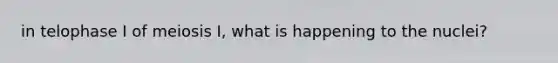 in telophase I of meiosis I, what is happening to the nuclei?
