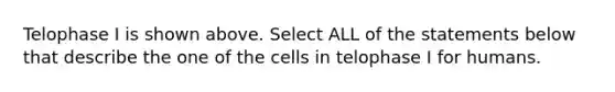 Telophase I is shown above. Select ALL of the statements below that describe the one of the cells in telophase I for humans.