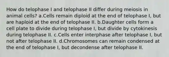 How do telophase I and telophase II differ during meiosis in animal cells? a.Cells remain diploid at the end of telophase I, but are haploid at the end of telophase II. b.Daughter cells form a cell plate to divide during telophase I, but divide by cytokinesis during telophase II. c.Cells enter interphase after telophase I, but not after telophase II. d.Chromosomes can remain condensed at the end of telophase I, but decondense after telophase II.