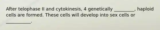 After telophase II and cytokinesis, 4 genetically _________, haploid cells are formed. These cells will develop into sex cells or ___________.