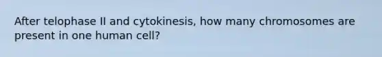 After telophase II and cytokinesis, how many chromosomes are present in one human cell?