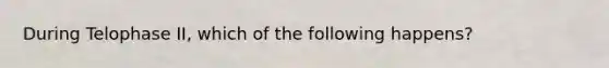 During Telophase II, which of the following happens?