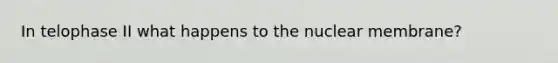 In telophase II what happens to the nuclear membrane?