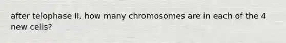 after telophase II, how many chromosomes are in each of the 4 new cells?