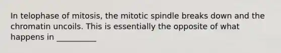 In telophase of mitosis, the mitotic spindle breaks down and the chromatin uncoils. This is essentially the opposite of what happens in __________