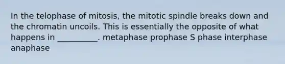 In the telophase of mitosis, the mitotic spindle breaks down and the chromatin uncoils. This is essentially the opposite of what happens in __________. metaphase prophase S phase interphase anaphase