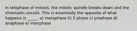 In telophase of mitosis, the mitotic spindle breaks down and the chromatin uncoils. This is essentially the opposite of what happens in _____. a) metaphase b) S phase c) prophase d) anaphase e) interphase