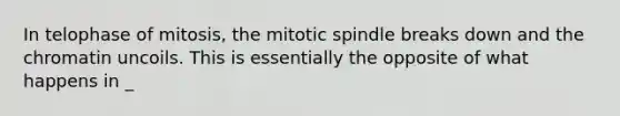 In telophase of mitosis, the mitotic spindle breaks down and the chromatin uncoils. This is essentially the opposite of what happens in _