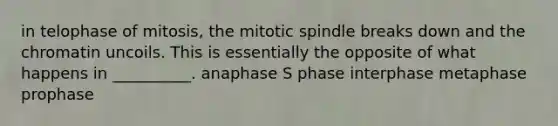 in telophase of mitosis, the mitotic spindle breaks down and the chromatin uncoils. This is essentially the opposite of what happens in __________. anaphase S phase interphase metaphase prophase