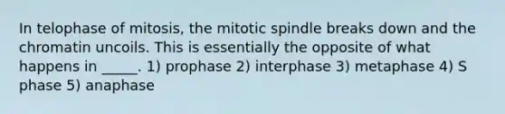 In telophase of mitosis, the mitotic spindle breaks down and the chromatin uncoils. This is essentially the opposite of what happens in _____. 1) prophase 2) interphase 3) metaphase 4) S phase 5) anaphase